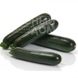 Семена кабачков Аскона F1 / Askona F1, 35-40 дней купить оптом и в розницу в Украине по выгодной цене