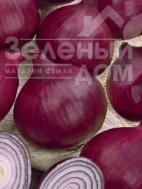 Насіння цибулі ріпчастої Фіамма F1 / Fiamma F1 купити оптом і в роздріб в Україні за вигідною ціною