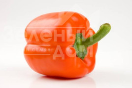 Насіння солодкого перцю Орені F1 / Oreny F1,70-80 днів купити оптом і в роздріб в Україні за вигідною ціною