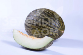 Насіння дині Долсура F1 / Dolsura F1,75-85 днів купити оптом і в роздріб в Україні за вигідною ціною