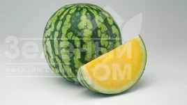 Семена арбуза Пекин F1 / Pekin F1 купить оптом и в розницу в Украине по выгодной цене