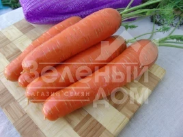 Семена моркови Кнота F1 / Knota F1, 95-100 дней купить оптом и в розницу в Украине по выгодной цене