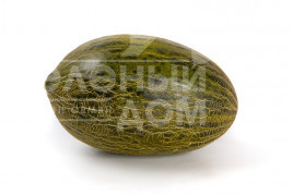 Насіння дині Месура F1 / Mesura F1,75-85 днів купити оптом і в роздріб в Україні за вигідною ціною