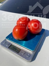 Семена томатов НМ 5900 F1, 115-120 дней купить оптом и в розницу в Украине по выгодной цене