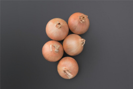 Цибуля ріпчаста Онеїда F1 / Oneida F1 купити оптом і в роздріб в Україні за вигідною ціною