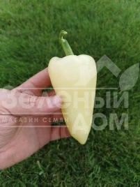 Семена сладкого перца Хеопс F1 / Heops F1,60-63 дня купить оптом и в розницу в Украине по выгодной цене