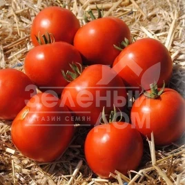 Семена томатов Мамако F1 / Mamako F1,50-52 дня купить оптом и в розницу в Украине по выгодной цене
