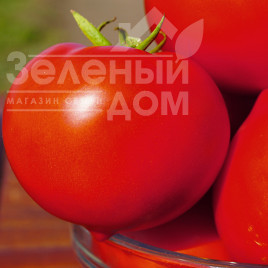 Насіння томатів Каста F1 / Kasta F1,55-60 днів купити оптом і в роздріб в Україні за вигідною ціною