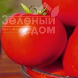Насіння томату Каста F1 / Kasta F1,55-60 днів купити оптом і в роздріб в Україні за вигідною ціною