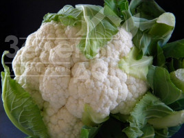 Насіння капусти цвітної Амеріго F1 / Amerigo F1,80-85 днів купити оптом і в роздріб в Україні за вигідною ціною