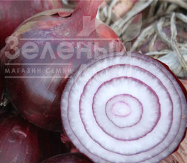 Цибуля ріпчаста Ройо Дуро F1 / Rojo Duro F1, 120-125 днів купити оптом і в роздріб в Україні за вигідною ціною