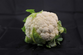 Насіння капусти цвітної Немо F1 / Nemo F1,60-70 днів купити оптом і в роздріб в Україні за вигідною ціною