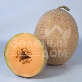 Семена дыни Трибека (КС 6147) F1 / Tribeka (KS 6147) F1,65-70 дней купить оптом и в розницу в Украине по выгодной цене