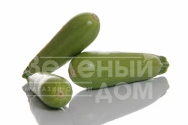 Семена кабачков Плеадис F1 / Pleadis F1,30-35 дней купить оптом и в розницу в Украине по выгодной цене
