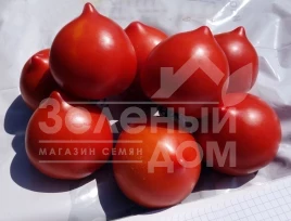 Семена томатов Тапер F1 / Taper F1 купить оптом и в розницу в Украине по выгодной цене