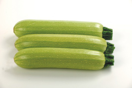 Насіння кабачків Ісмаліа F1 / Ismalia F1,40-45 днів купити оптом і в роздріб в Україні за вигідною ціною