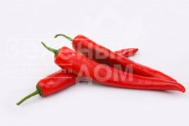 Насіння гіркого перцю Мехіко F1 / Mexiko F1,75-80 днів купити оптом і в роздріб в Україні за вигідною ціною