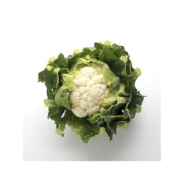 Насіння капусти цвітної Декстер F1 / Dexter F1,90-95 днів купити оптом і в роздріб в Україні за вигідною ціною