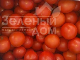 Насіння томату Діззі (INX 6056) F1 / Dizzy (INX 6056) F1, 120 днів купити оптом і в роздріб в Україні за вигідною ціною