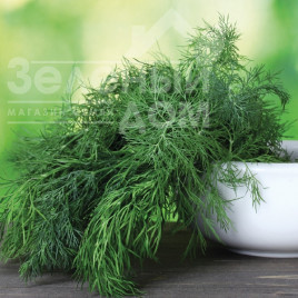 Кріп Ділл / Dill купити оптом і в роздріб в Україні за вигідною ціною