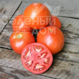 Насіння томатів Ламантін F1 / Lamantin F1,98-105 днів купити оптом і в роздріб в Україні за вигідною ціною