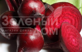 Насіння буряка Червона куля/ Krasniy Shar, 95-105 днів купити оптом і в роздріб в Україні за вигідною ціною