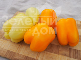 Насіння солодкого перцю Тесла F1 / Tesla F1 купити оптом і в роздріб в Україні за вигідною ціною