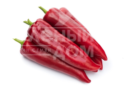 Насіння солодкого перцю Армагеддон F1 / Armageddon F1 купити оптом і в роздріб в Україні за вигідною ціною