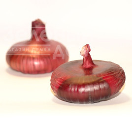 Цибуля ріпчаста Ялтинський F1 / Yaltinskyi F1 купити оптом і в роздріб в Україні за вигідною ціною