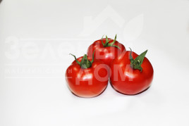 Насіння томатів Дантіна F1 / Dantina F1,105-115 днів купити оптом і в роздріб в Україні за вигідною ціною