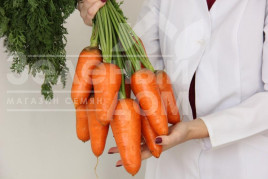 Насіння моркви Наріна F1 / Narina F1 купити оптом і в роздріб в Україні за вигідною ціною