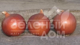 Лук репчатый Сонома F1 / Sonoma F1,115-120 дней  купить оптом и в розницу в Украине по выгодной цене