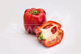 Семена сладкого перца Халк F1 / Halk F1 купить оптом и в розницу в Украине по выгодной цене