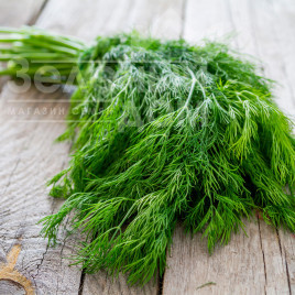 Насіння кропу Ерлі Тетра / Earli Tetra купити оптом і в роздріб в Україні за вигідною ціною