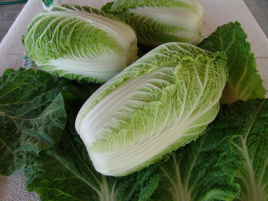 Насіння капусти пекінської Капітол F1 / Kapitol F1,58-65 днів купити оптом і в роздріб в Україні за вигідною ціною