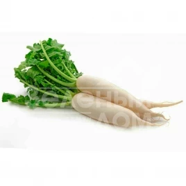 Семена редьки Ярола F1 / Jarola F1,50-60 дней купить оптом и в розницу в Украине по выгодной цене