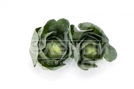 Семена капусты белокочанной Лонгма F1 / Longma F1, 140-150 дней купить оптом и в розницу в Украине по выгодной цене