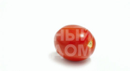 Насіння томатів ЯГ 8810 F1 / JAG 8810 F1,115-120 днів купити оптом і в роздріб в Україні за вигідною ціною