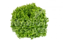 Семена салата Дюнан / Dunand купить оптом и в розницу в Украине по выгодной цене