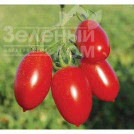 Насіння томатів Санміно F1 / Sanmino F1,65-70 днів купити оптом і в роздріб в Україні за вигідною ціною