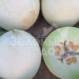 Семена дыни Анук (INX 1063) F1 / Anuk (INX 1063) F1,80-82 дней купить оптом и в розницу в Украине по выгодной цене