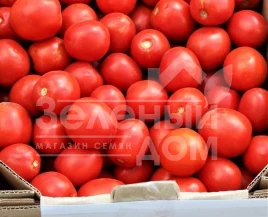Семена томатов Альбаросса F1 / Albarossa F1 купить оптом и в розницу в Украине по выгодной цене
