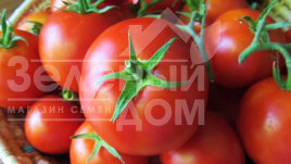 Насіння томатів Діадема F1 / Diadema F1,110-115 днів купити оптом і в роздріб в Україні за вигідною ціною