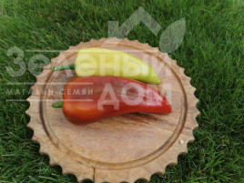 Насіння солодкого перцю Дует F1 / Duet F1,62-67 днів купити оптом і в роздріб в Україні за вигідною ціною