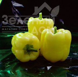 Насіння солодкого перцю Мадонна F1 / Madonna F1,60-65 днів купити оптом і в роздріб в Україні за вигідною ціною