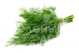 Семена укропа Луго / Lugo купить оптом и в розницу в Украине по выгодной цене