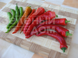Насіння гіркого перцю Посейдон / Poseydon купити оптом і в роздріб в Україні за вигідною ціною