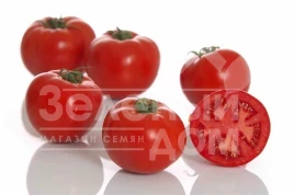 Семена томатов Линда F1 / Linda F1,65-70 дней купить оптом и в розницу в Украине по выгодной цене
