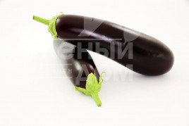 Насіння баклажанів Честер F1 / Chester F1,65-75 днів купити оптом і в роздріб в Україні за вигідною ціною