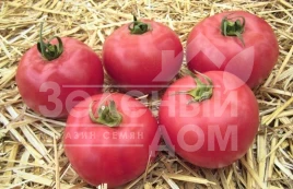 Семена томатов Тарпан F1 / Tarpan F1,98-105 дней купить оптом и в розницу в Украине по выгодной цене